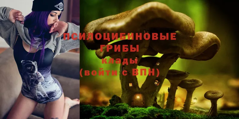 Псилоцибиновые грибы Cubensis  даркнет телеграм  Печора  хочу  